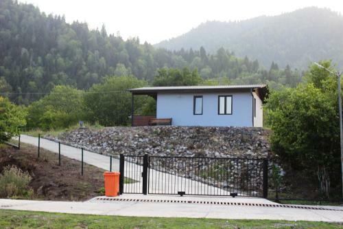 Borjomi Cottege Sadgeri