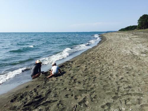 Shekvetili Silver Sands Beach House