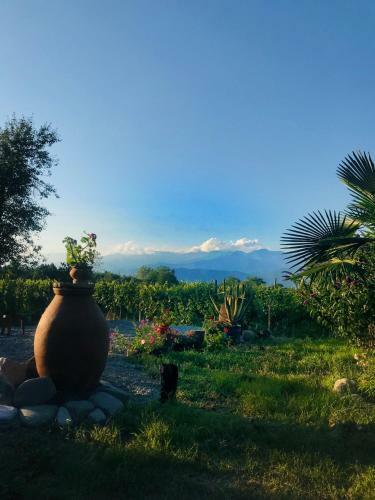 Hostal Villa Tsinandali