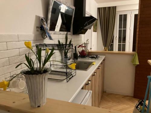 Apartamento The Nature