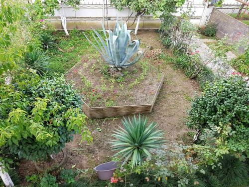 Hostal Shirim Guesthouse