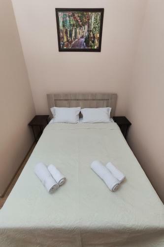Hotel Pushkin Ii/1a