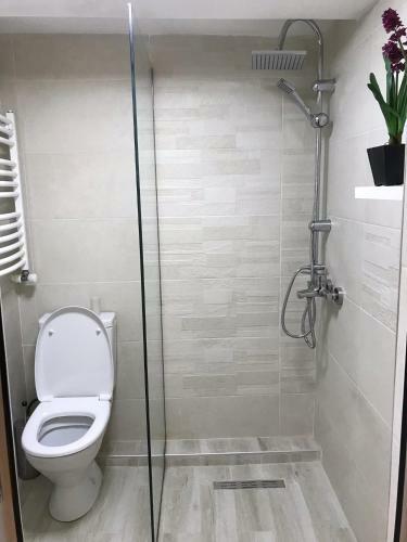 Charming Apartment In Old Town
