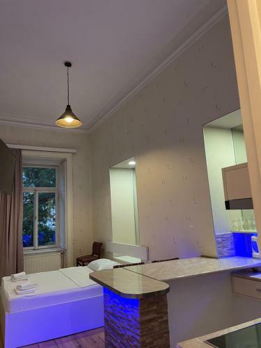 Apartamento Downtown Room