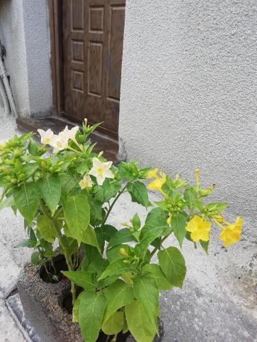 Apartment Heart Of Tbilisi