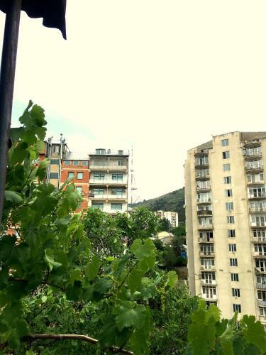 Hostal Gnt+