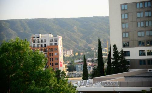 Hostal Hotel New Avlabari