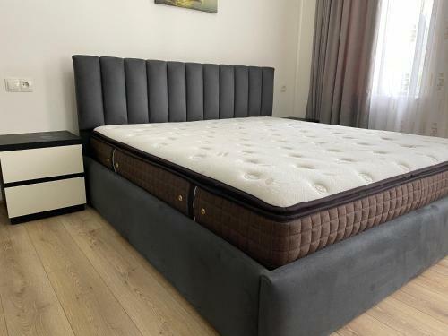 Hostal Temo Guest House 10