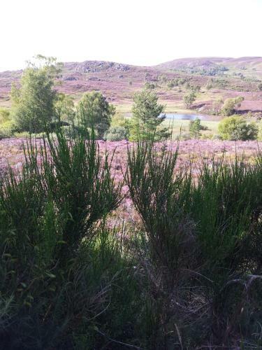 Kilmichael House B&B