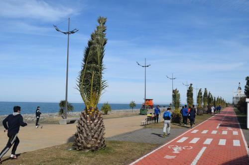 Apartamento Batumi Resort