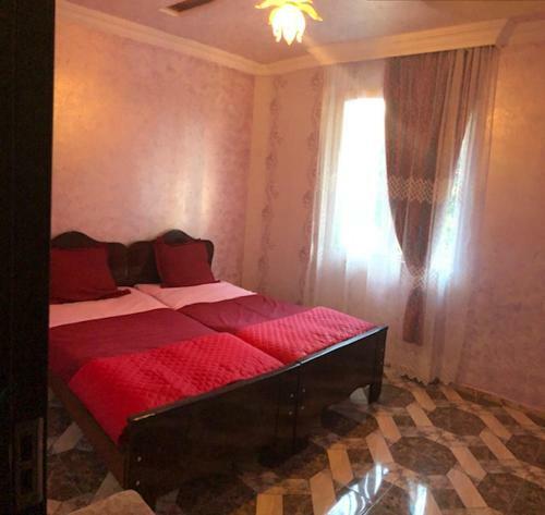 Hostal Mzeos House