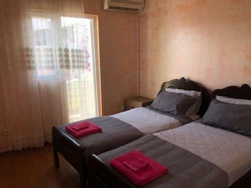 Hostal Mzeos House