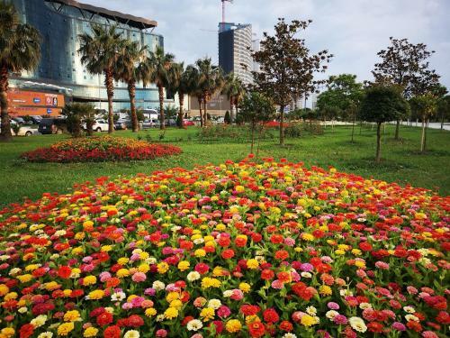 Batumi Apartments