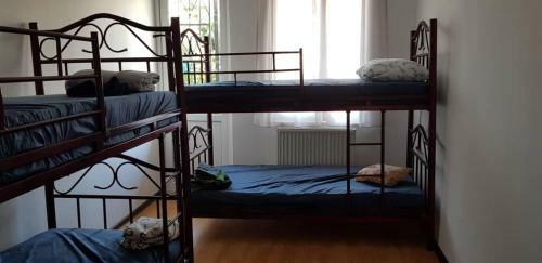 Enjoy The Hostel