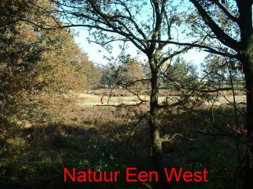 De Riekhoff