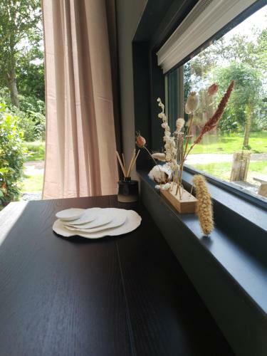 Modern Tiny House Op Rustig Watersportpark