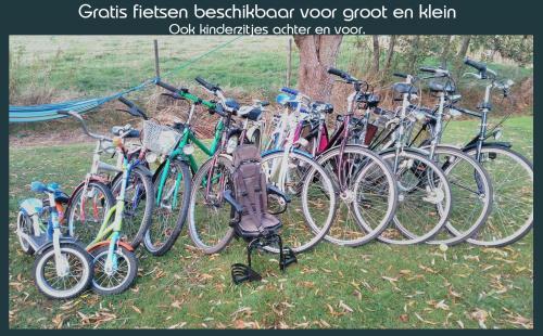 Vakantiewoning Deltahof