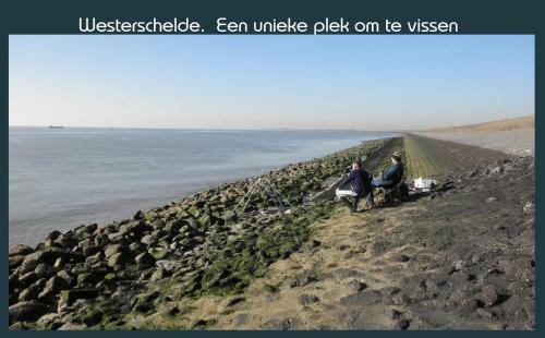 Vakantiewoning Deltahof