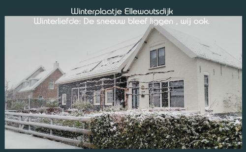 Vakantiewoning Deltahof