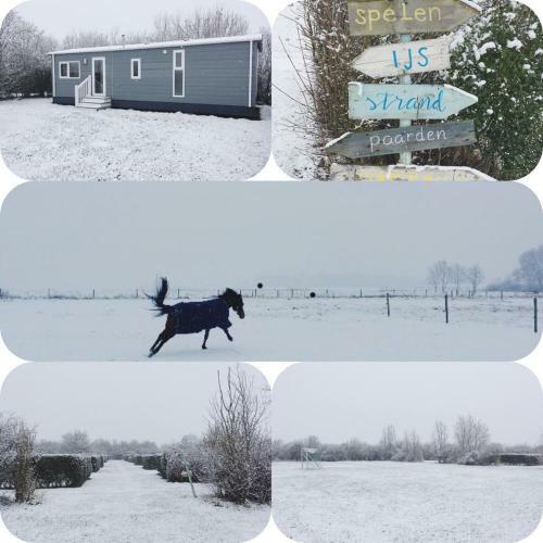 De Schelphoeve