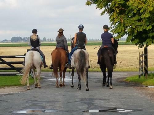 De Schelphoeve