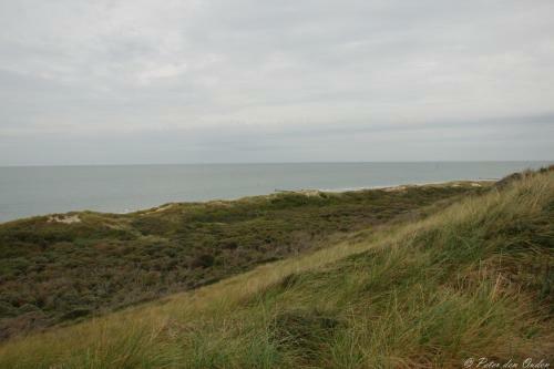 De Schelphoeve