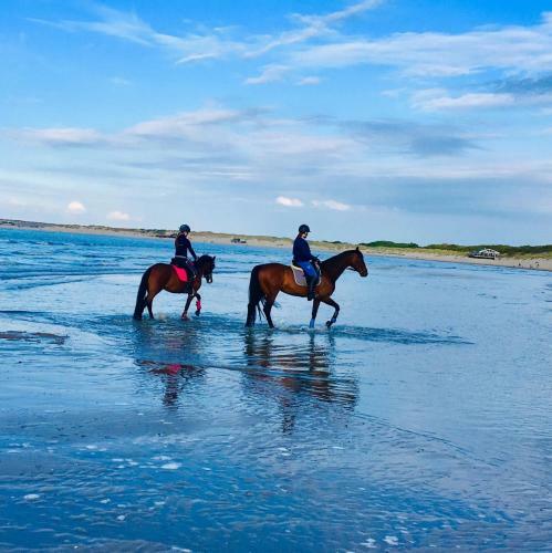 De Schelphoeve