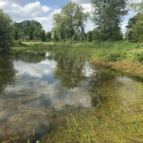 Bed & Breakfast De Tuinschuur