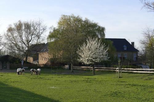 Apartamento Meschermolen 1, Klein 4-persoons Appartement