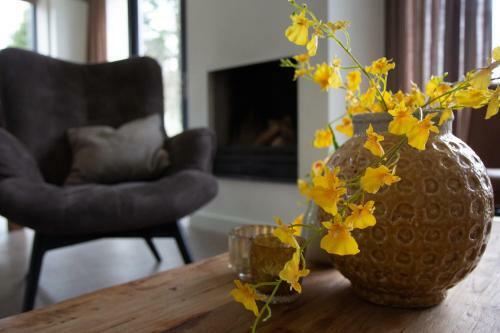 Villa Goudvink Egmond