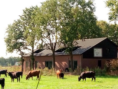 B&B In De Wei