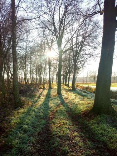 B&B In De Wei
