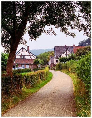 Huis In De Natuur