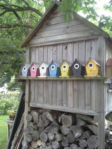Huis In De Natuur