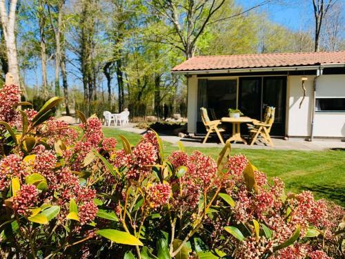 Apartamento Bungalow 72