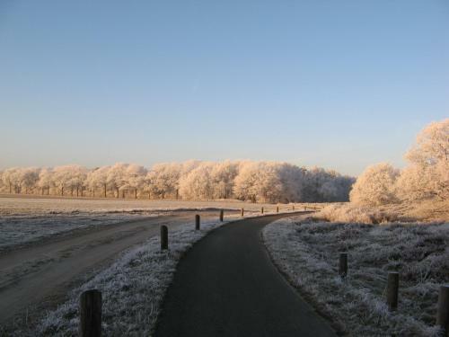 't Zwaluwennest