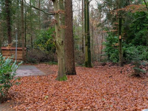 Pleasant Holiday Home In Epe With Hot Tub