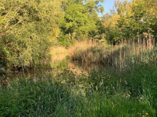 Apartamento Idyllische Loft Met Heerlijke Hottub