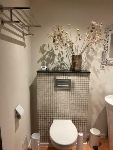 Apartamento Idyllische Loft Met Heerlijke Hottub