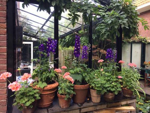 Bed & Breakfast Florentino