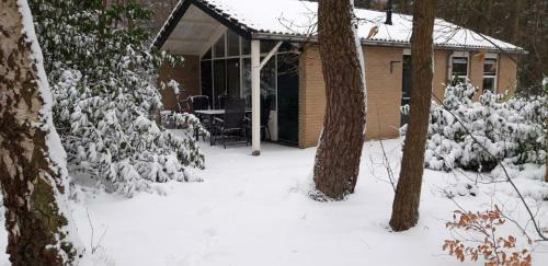 Bospark De Schaapskooi