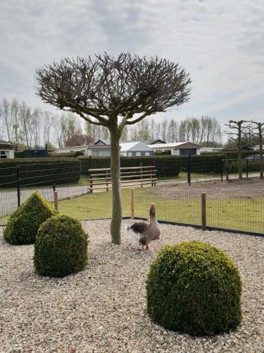 Stacaravan Horsterhoeve