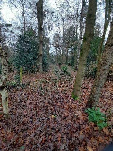 Recreatiepark de Veluwe