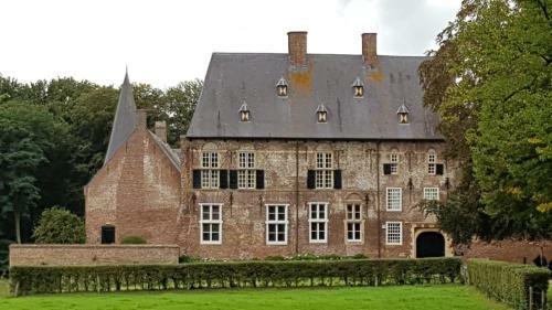 Blauwe Lelie