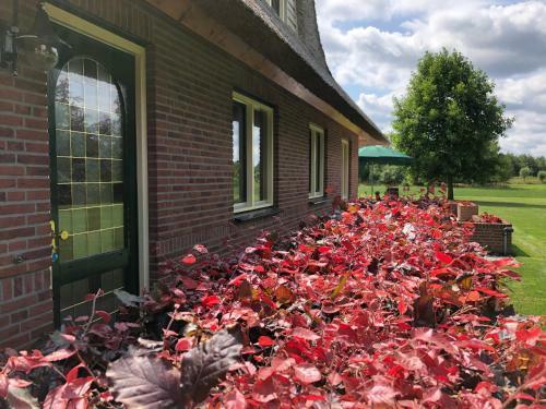 Apartamento Landgoed de Blaauwe Blaer