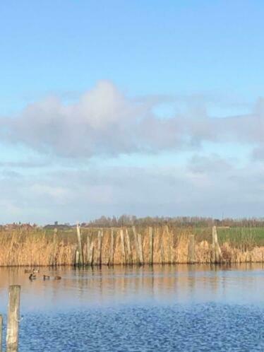 Recreationpark Yn'e Lijte Grou Waterchalet Number 6