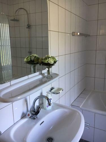 Apartamento Lonestar Appartement