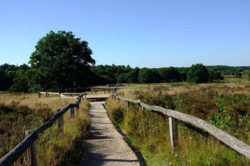Rustig Gelegen Bungalow In Mooi Havelte (Drenthe)