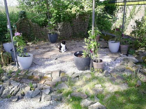 Bed & Breakfast Helstone House