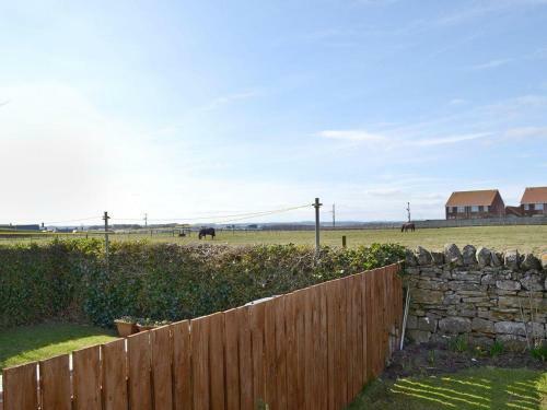 Dunstanburgh View